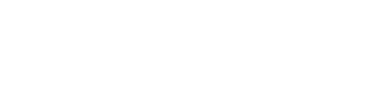 The Carolinas Team Logo